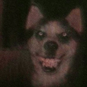 Meet your Posher, Isaac